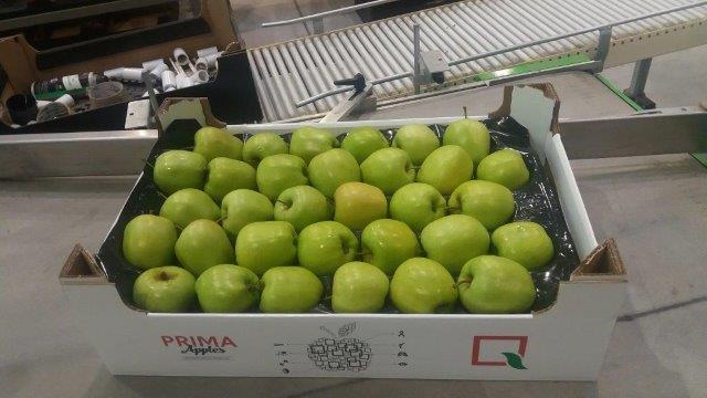 Prima 2000 manzanas, peras, ciruelas, exportación de frutas, hortalizas 13