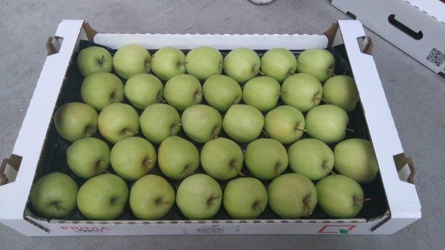 Prima 2000 manzanas, peras, ciruelas, exportación de frutas, hortalizas 15