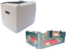 Prima 2000 manzanas, peras, ciruelas, exportación de frutas, hortalizas 13